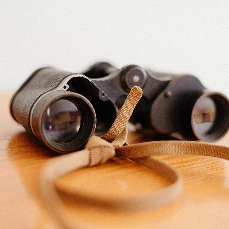 Navigating the Complexities of Remote Work in Training and Development