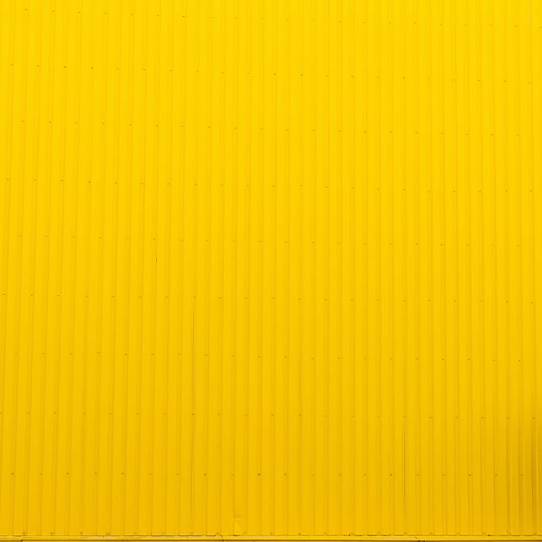 Enhancing Employee Experience and Company Culture